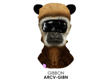 ARCV-GIBN