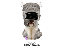 ARCV-KOALA