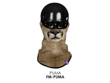 FM-PUMA