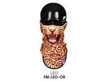 FM-LEO-OR
