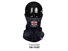 FM-PANT