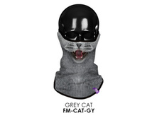 FM-CAT-GY