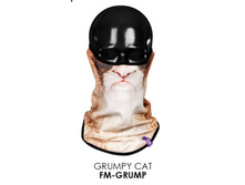 FM-GRUMP
