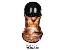 FM-CAT-BR