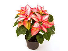 ���������� ����� � ������� ������