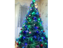 �������� ���� ���� 210 ��