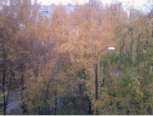 16 ������� 2014