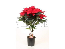 ���������� ������� ���������