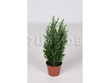 ������������ �������