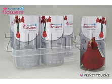 �����������-��������� � ����� (������� ������)