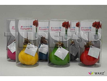 �����������-��������� � ����� (������ �����)