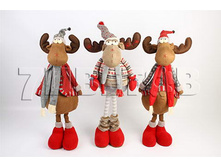 ���� ���������� 12�101