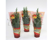 ������������ ������� � ���������� ��������