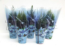 ������� ���� ����������