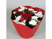 ����������+����������