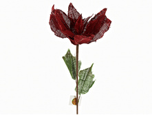 n6250477.jpg  354�