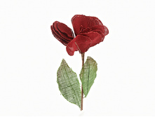 n6250480.jpg  344�