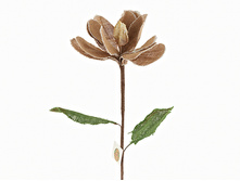 n6250486.jpg  273�