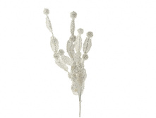 n6680385.jpg  222�