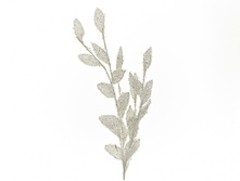 n6680387.jpg  146�