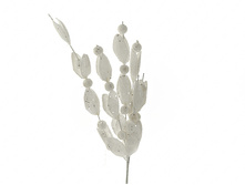 n6680386.jpg  193�