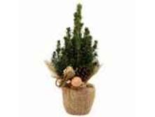 ��� ��������� ������ � ����� ��� 414