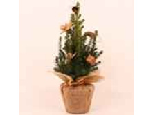 ��� ��������� ������ � ����� ��� 506