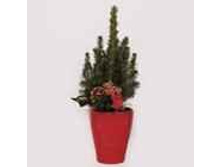 ��� ��������� ������ � �������� ��� 424