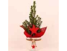 ��� ��������� ������ � �������� ��� 428