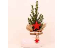 ��� ��������� ������ � �������� ��� 434