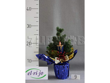 ��� ��������� ������ � ���������� �������� No 9