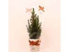 ��� ��������� ������ � ���������� �������� ��� 510