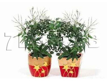 ������ ��������� �5872