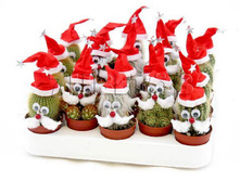 ������ ����������