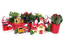 �������� ��������� ���� � �������� ��110