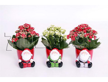 �������� ��������� ���� � �������� �����