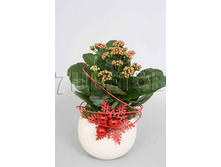 ���������� �� �������� 60521