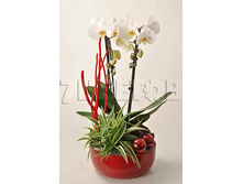 ���������� �� ������������ 1513��