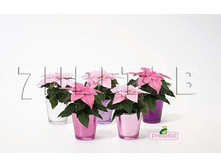 ���������� ���� � ������ E3068