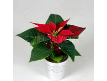 ���������� ������� � ����������� ��������