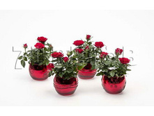 ���� ���� ������� �5854