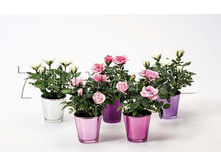 ���� ���� ���� �3070