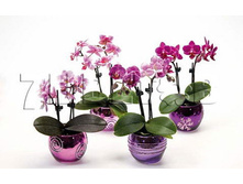 ���������� ���� 2 �� � �������� �5751