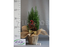 ������������ ������� � ����� 45