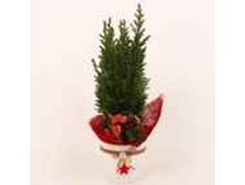 ������������ ������� � �������� � ����� ��� 143