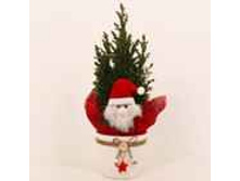 ������������ ������� � �������� � ����� ��� 147