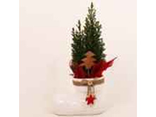 ������������ ������� � �������� � ����� ��� 157