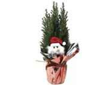 ������������ ������� � ���������� �������� ��� 107