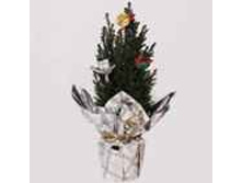 ������������ ������� � ���������� �������� ��� 113