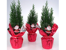 ������������ ������� �������������� �����